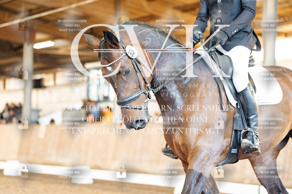 CK908996 | Turnierfotografie Pferdefotografie Trier Rheinland-Pfalz Pferdesport Reitsport Tierfotografie Sportfotografie Pferdevideo Pferdevideografie Equestrianvideography equestrianphotography  - Realisiert mit Pictrs.com