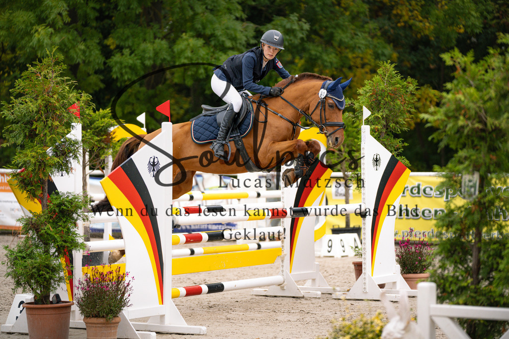 A7V09356 | Pferdefotograf