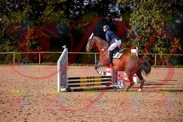 2026_10_03_Siefer-Hof_160614_Z81_87512817 | Professionelle Reitsport-, Turnier- und Eventfotografie von Robert Broda. Galerien mit ausgewählten und bearbeiteten Bildern direkt online ansehen und bestellen.