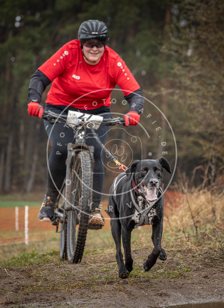 0L8A8876 | Hundefotografie, Tierfotograf, Pfotenfotografie, Fotoshooting Hund, Hunde Portrait, Hundesport, Hundeportraits, Heideshooting, Hunde, Sportfotograf, Hundefotograf, Turnierhundsport, THS,  - Realisiert mit Pictrs.com