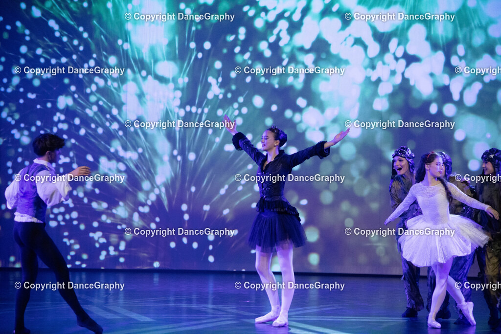 GPHY2424 | DanceGraphy - Realisiert mit Pictrs.com