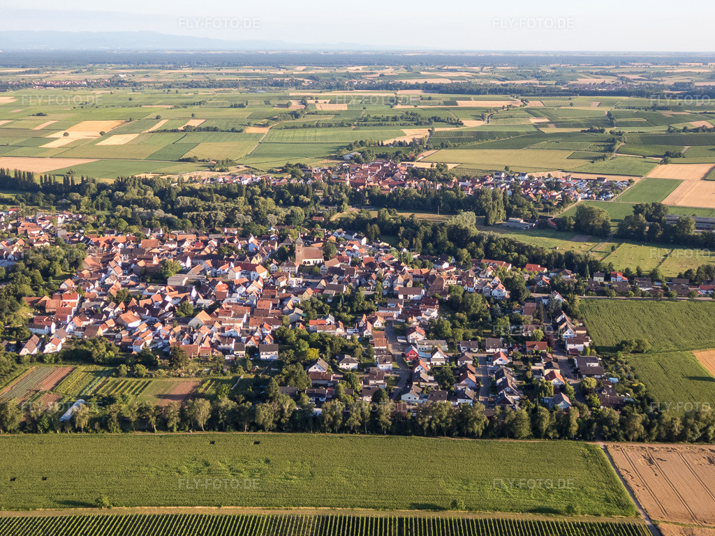 Luftbild: Ortsansicht von Norden im Ortsteil Billigheim in Billigheim-Ingenheim im Bundesland Rheinland-Pfalz in Deutschland. Foto: P7130185.jpg vom 13.07.2017 durch Werner Riehm/FLY-FOTO.de