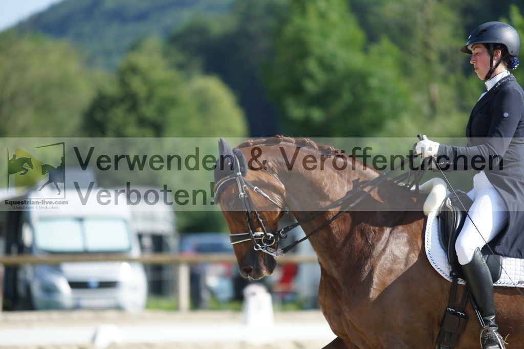DSC02490 | equestrian-live-com