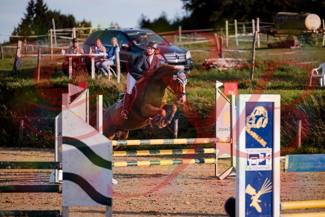 2026_10_03_Siefer-Hof_171209_Z81_09038042 | Professionelle Reitsport-, Turnier- und Eventfotografie von Robert Broda. Galerien mit ausgewählten und bearbeiteten Bildern direkt online ansehen und bestellen.