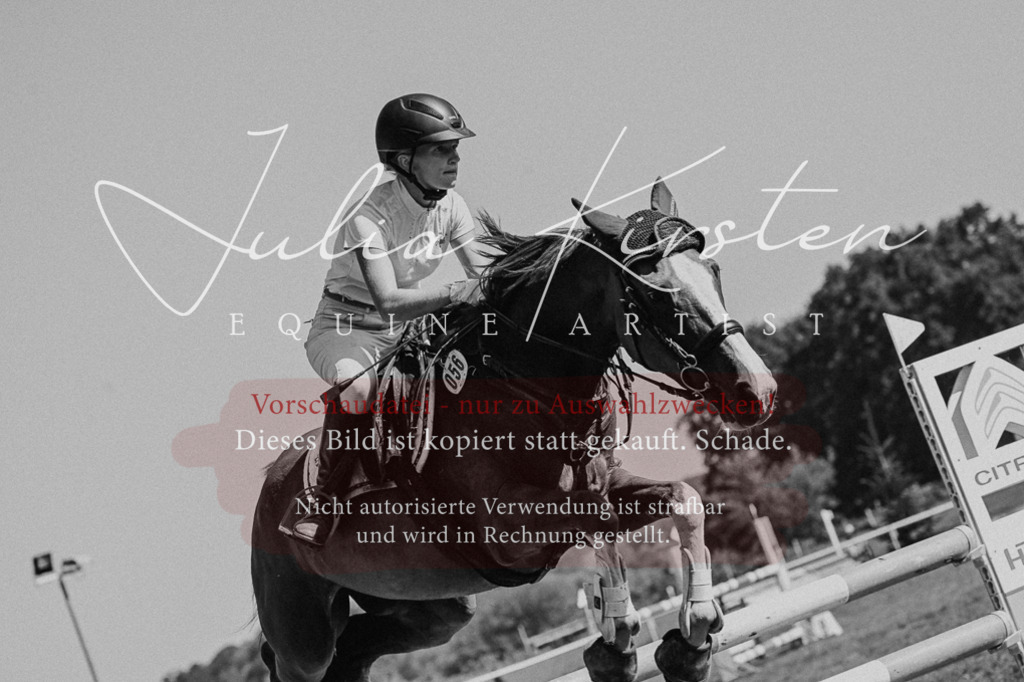DSC_6401 | Pferde- und Turnierfotografie in Westsachsen. Pferdeportraits, Auftragszeichnungen und intuitive Kunst.