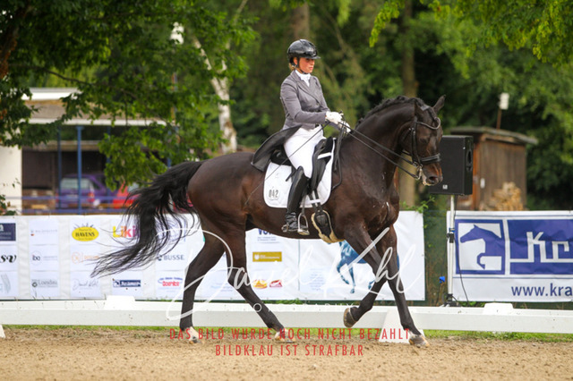 DKP41463 | Turniersportfotografie; Pferdefotografie; Dressurfotografie