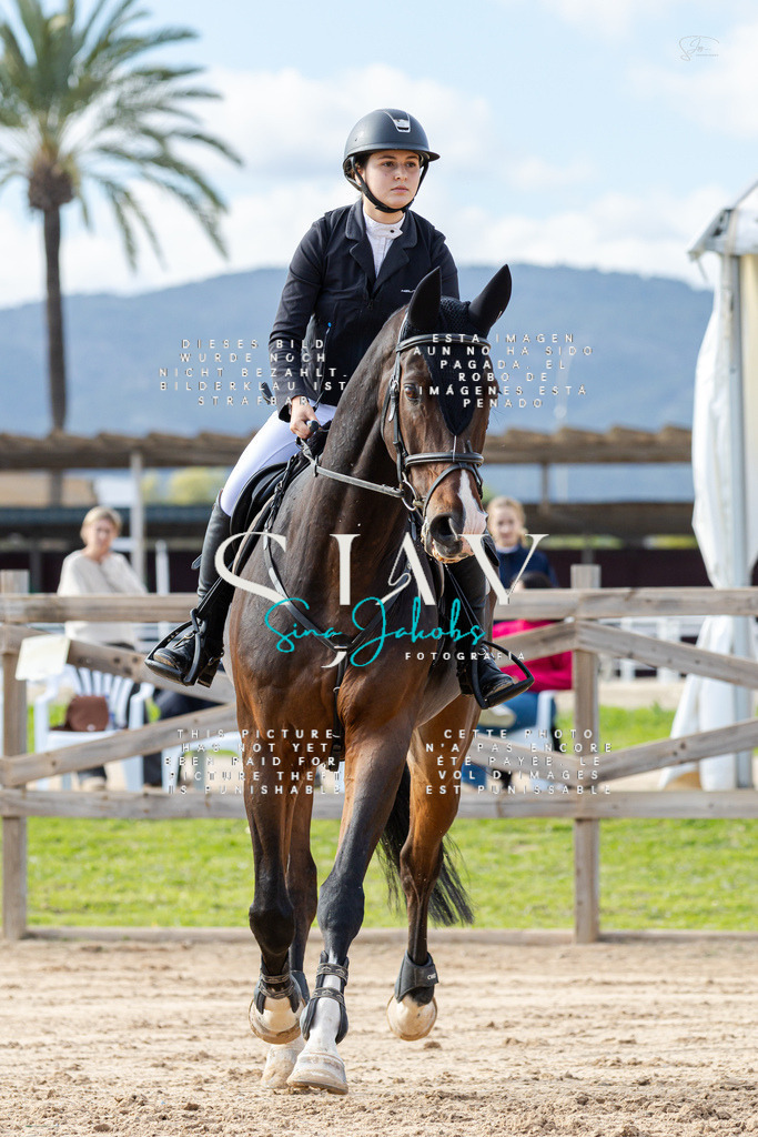 IMG_3264 | s-jay-photography - Realisiert mit Pictrs.com