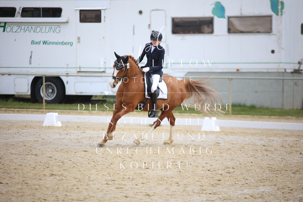 IMGT4099 | pl-fotografie