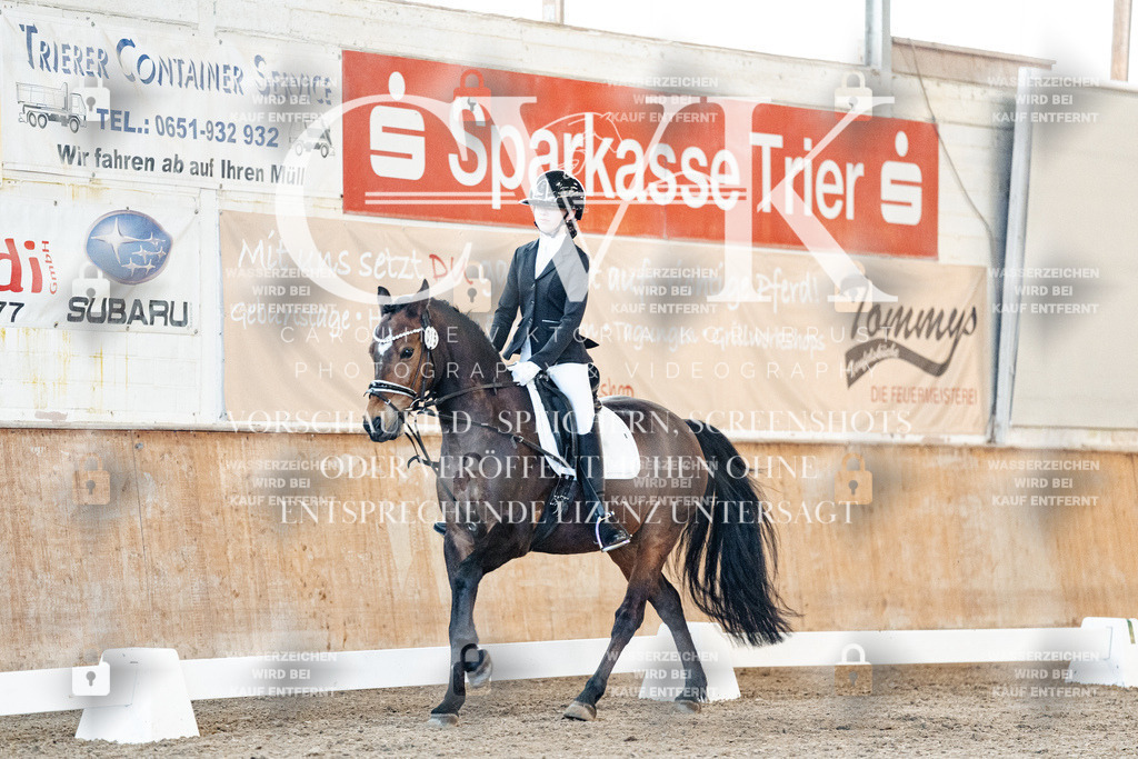 CK906629 | Turnierfotografie Pferdefotografie Trier Rheinland-Pfalz Pferdesport Reitsport Tierfotografie Sportfotografie Pferdevideo Pferdevideografie Equestrianvideography equestrianphotography  - Realisiert mit Pictrs.com