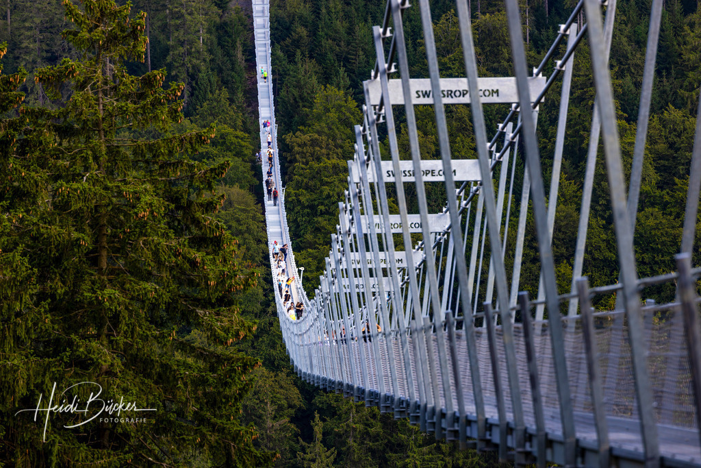 Skywalk Willingen | Der Skywalk Willingen ist die längste Hängebrücke Deutschlands und die zweitlängste der Welt. - Realisiert mit Pictrs.com