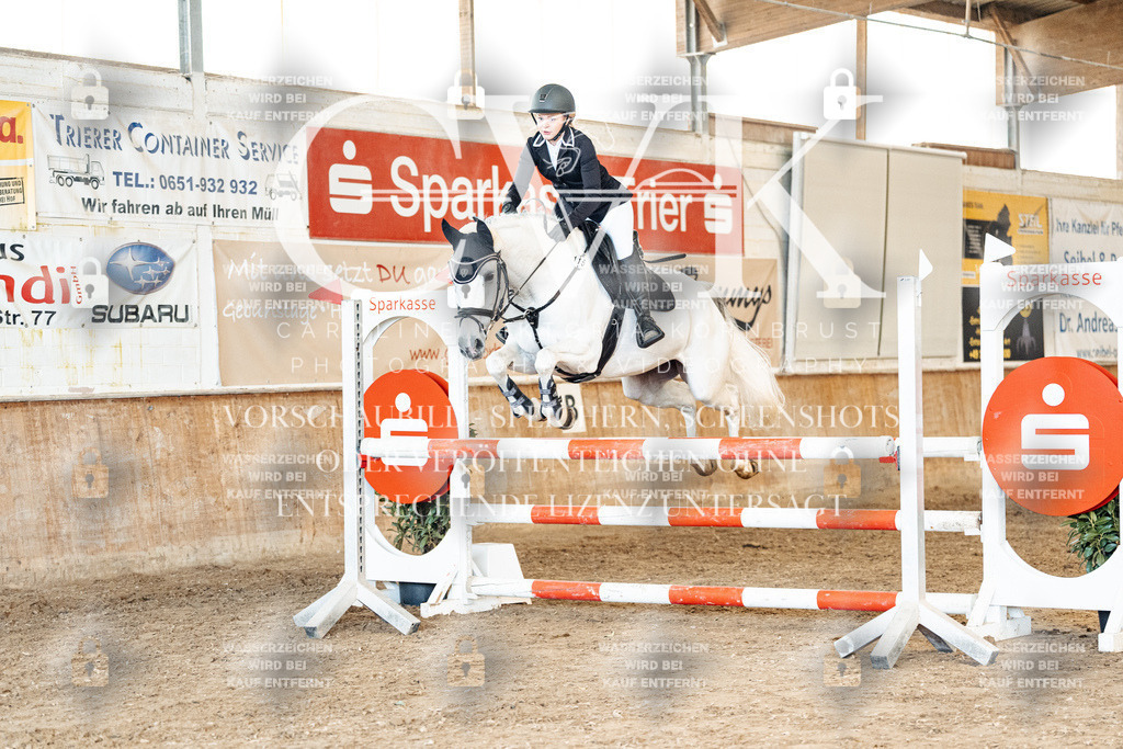 CK905305 | Turnierfotografie Pferdefotografie Trier Rheinland-Pfalz Pferdesport Reitsport Tierfotografie Sportfotografie Pferdevideo Pferdevideografie Equestrianvideography equestrianphotography  - Realisiert mit Pictrs.com