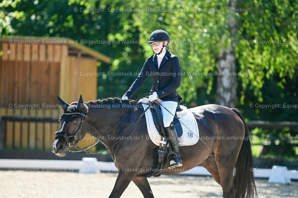 20230908_06_Dressur-L-Trense_0592 | equistock
