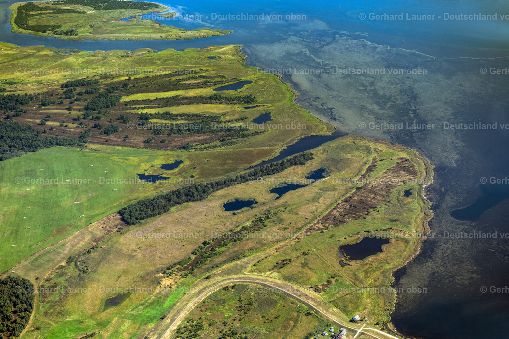 4061559 | INSEL HIDDENSEE 08.09.2021 Heide- Landschaft Dünenheide an Ostseeküste der Insel Hiddensee im Bundesland Mecklenburg-Vorpommern, Deutschland. // Heathland landscape Duenenheide in Insel Hiddensee in the state Mecklenburg - Western Pomerania, Germany. Foto: Gerhard Launer