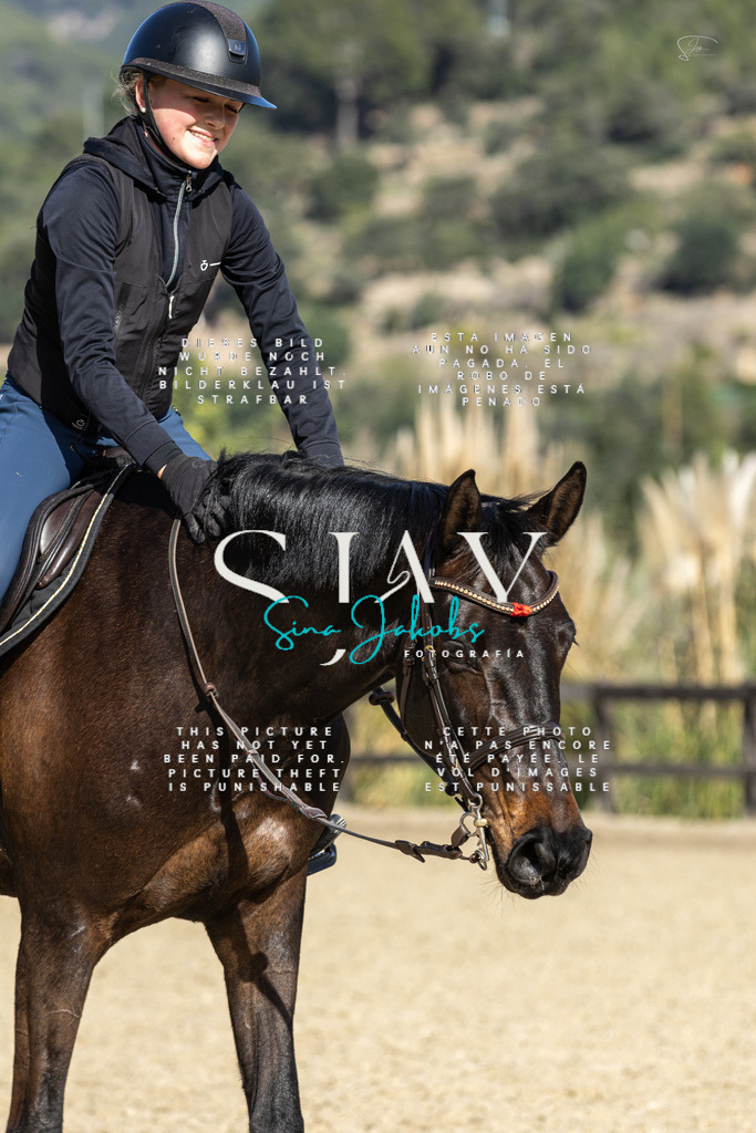 IMG_6883 | s-jay-photography - Realisiert mit Pictrs.com