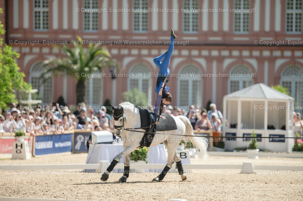 20230528_Voltigieren_NASPA_0004 | equistock