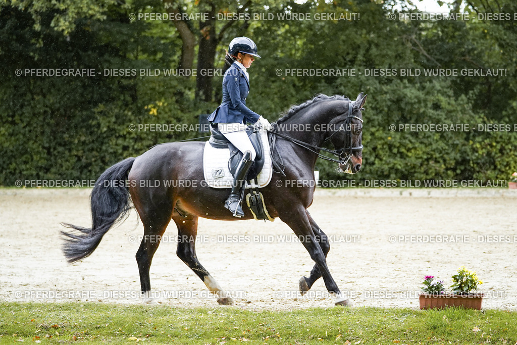 DSC00600 | Pferdegrafie