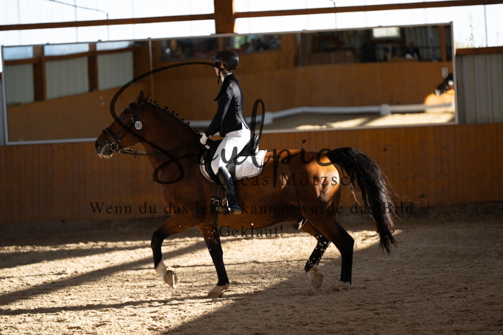 A7V01763 | Turnier/Reitfotograf