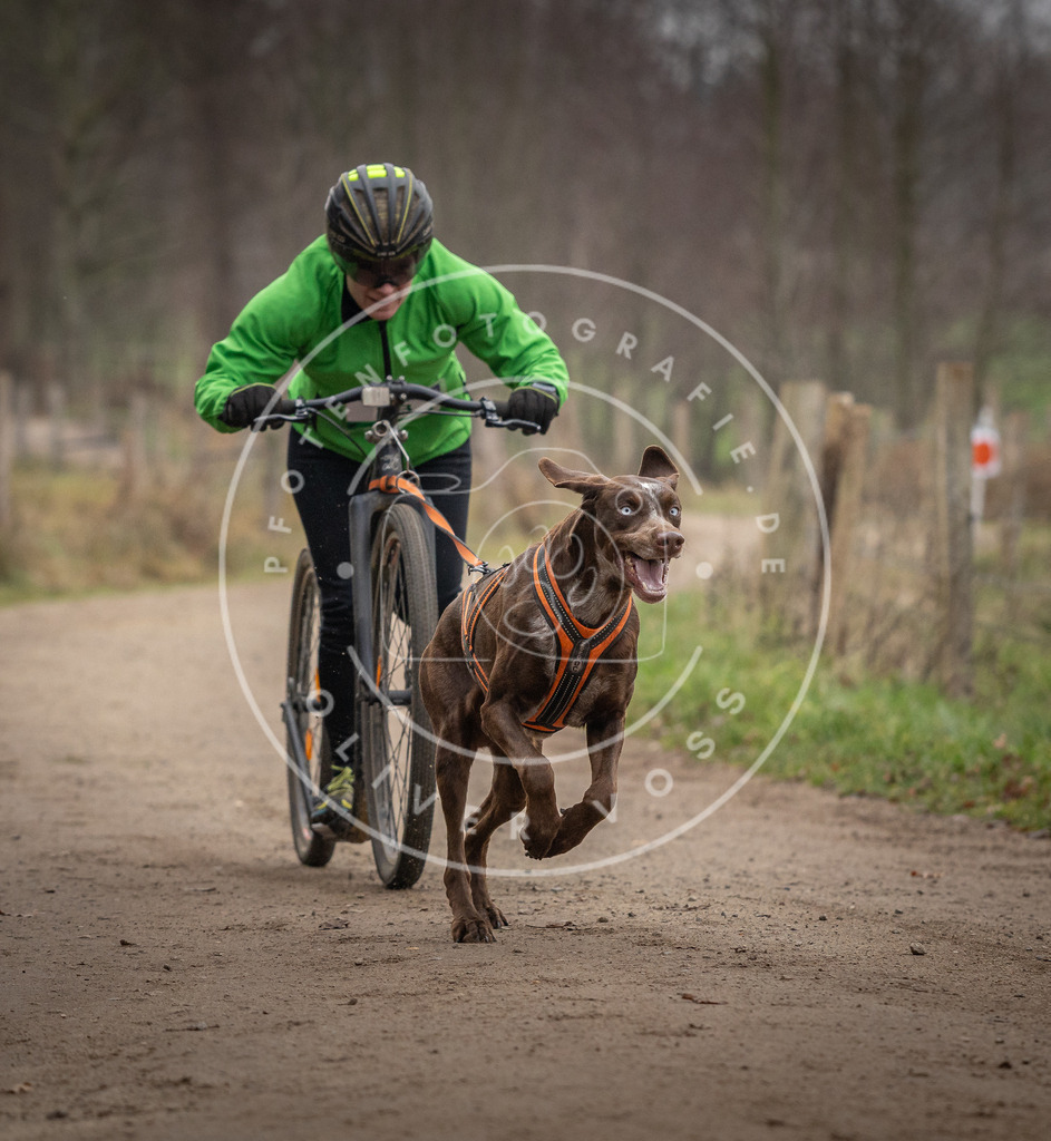 Pfotenfotografie_DV3A2357 | Hundefotografie, Tierfotograf, Pfotenfotografie, Fotoshooting Hund, Hunde Portrait, Hundesport, Hundeportraits, Heideshooting, Hunde, Sportfotograf, Hundefotograf, Turnierhundsport, THS,  - Realisiert mit Pictrs.com