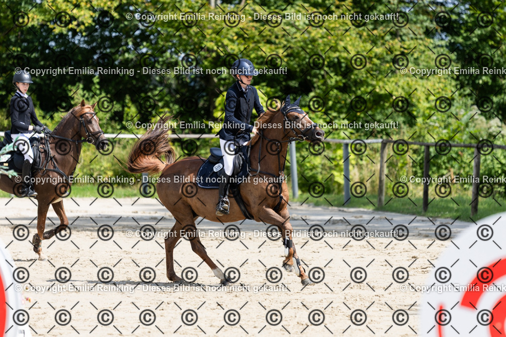 CL5A1037 | Emilia Reinking Fotografie - Realisiert mit Pictrs.com