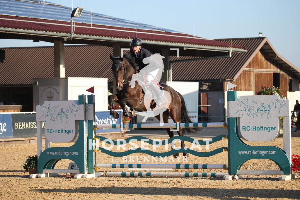 DL2Q0571 | Willkommen bei Brunnmayr - Design & Fotografie – Ihrem Spezialisten für Reitturniere und Pferdeveranstaltungen in Oberösterreich, Salzburg und Bayern! Seit über 17 Jahren sind wir leidenschaftlich dabei.