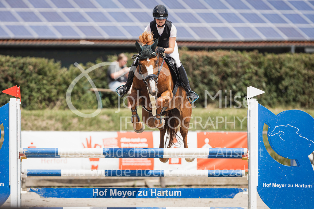 250629_PfSpTa_L-Spr2-409 | Deine schönsten Turniermomente als professionelle Fotos! Entdecke hochwertige Pferdesport-Fotografie im Online-Shop. Jetzt Fotos finden & bestellen!