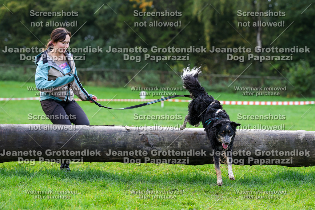 Dog Paparazzi -  SD1026-1150 | Dog Paparazzi Jeanette Grottendiek Fotografie & Videografie - Realisiert mit Pictrs.com