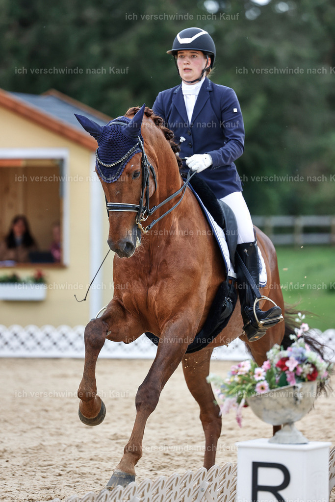 04_1-143-Dressur M__ -StoibPH-StoibPH-2693 | working equitationturnier fotograf videograf stoibphotography marixx film working equitation deutschland reitsport turnierfotografie eventfotografie equestrian events