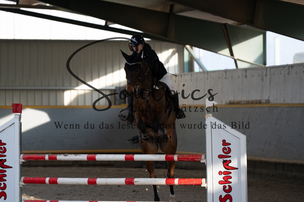 A7V07574 | Pferdefotograf