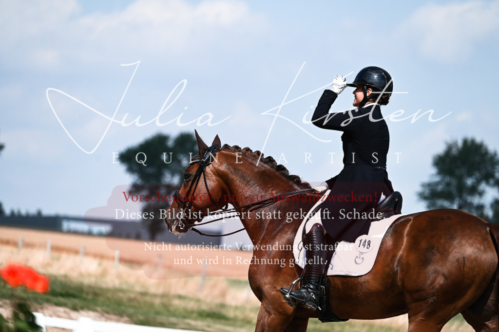 DSC_2888 | Pferde- und Turnierfotografie in Westsachsen. Pferdeportraits, Auftragszeichnungen und intuitive Kunst.