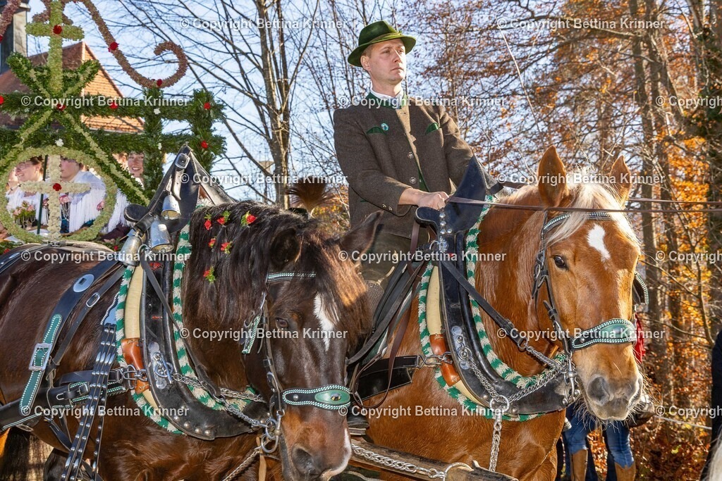 LBT25-1353 | foto-bettina-krinner - Realisiert mit Pictrs.com