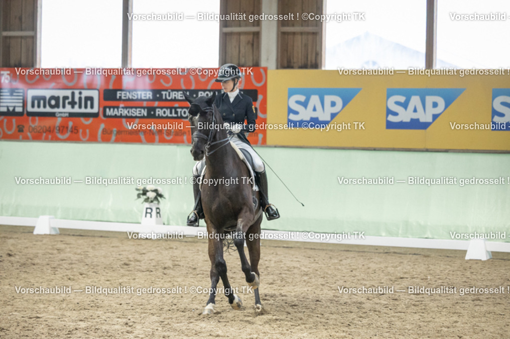_D5A6979 | Emotionale Pferde- & People-Fotografie rund um Heidelberg, Leimen & Umgebung. Natürliche Fotos von Pferd, Mensch & Familie. Jetzt Termin sichern!