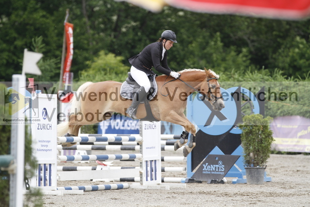 _MG_6248 | equestrian-live-com