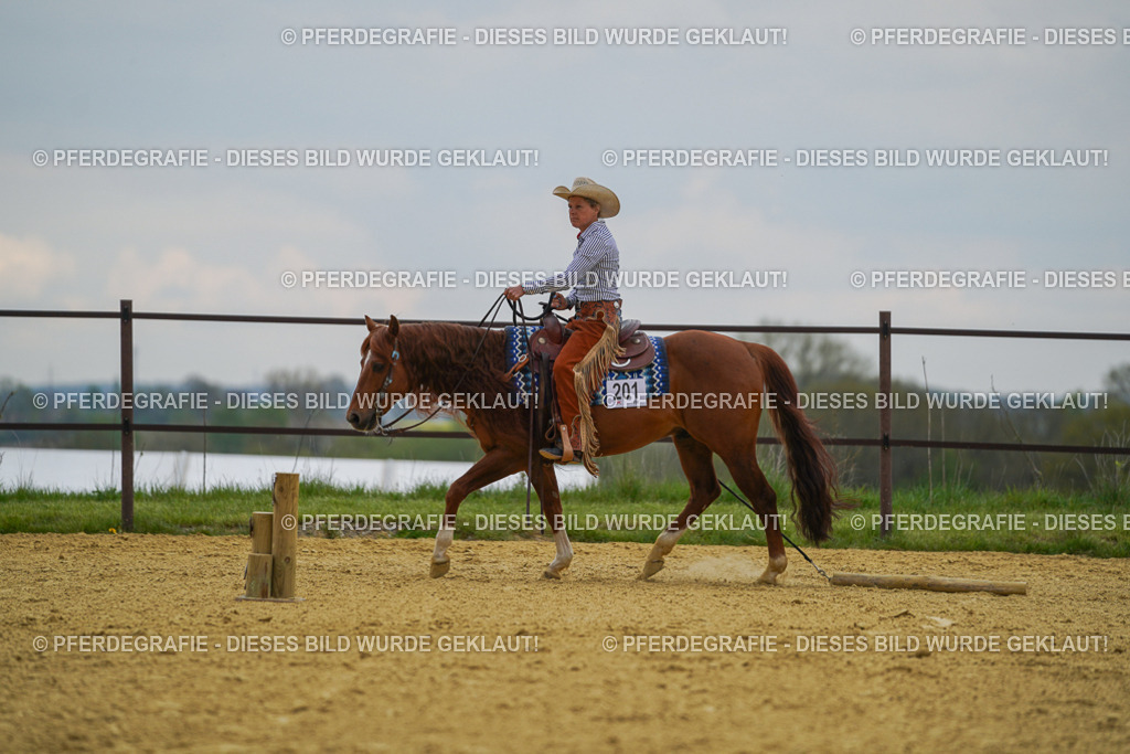 DSC07775 | Pferdegrafie