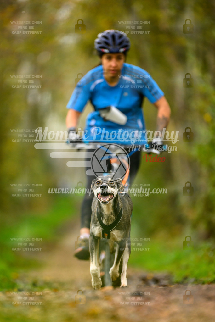 MompixPhotography_20TSB_E6_DS1-52 | PayLife