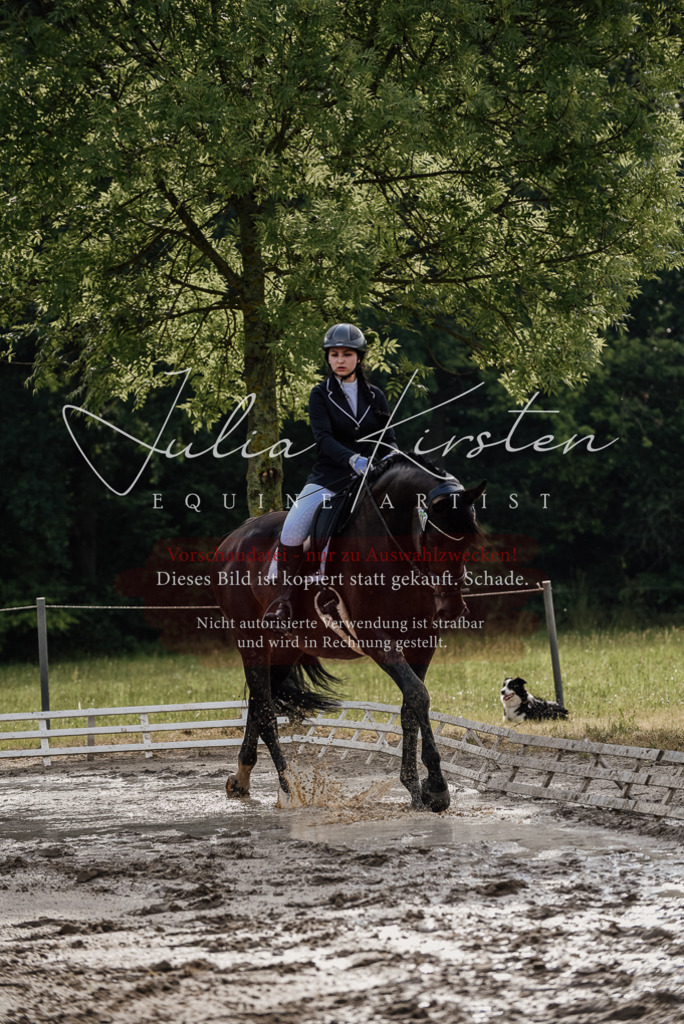 DSC_8554 | Pferde- und Turnierfotografie in Westsachsen. Pferdeportraits, Auftragszeichnungen und intuitive Kunst.
