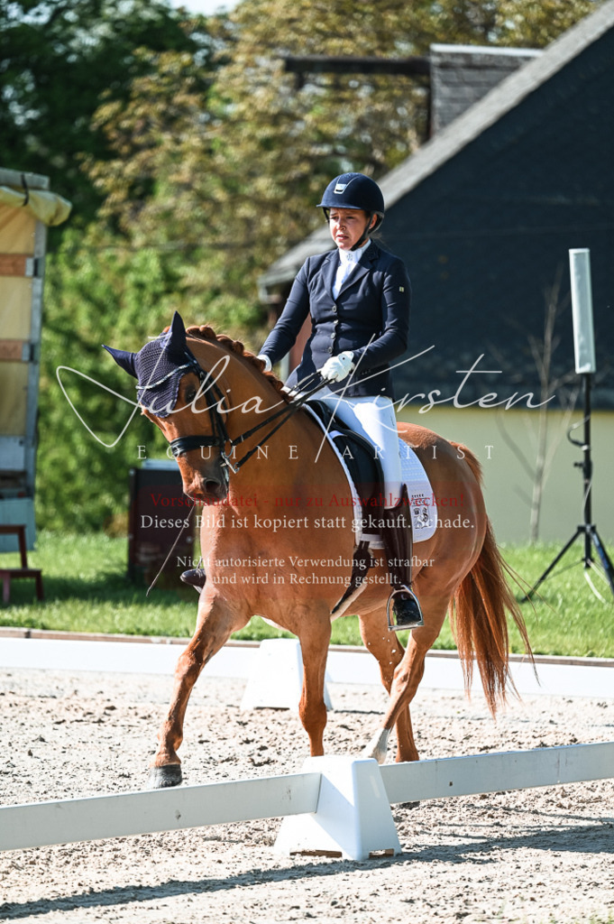 20230514_JK-Röhrsdorf-18-283 | Pferde- und Turnierfotografie in Westsachsen. Pferdeportraits, Auftragszeichnungen und intuitive Kunst.