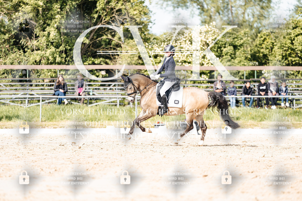 CK900461 | Turnierfotografie Pferdefotografie Trier Rheinland-Pfalz Pferdesport Reitsport Tierfotografie Sportfotografie Pferdevideo Pferdevideografie Equestrianvideography equestrianphotography  - Realisiert mit Pictrs.com