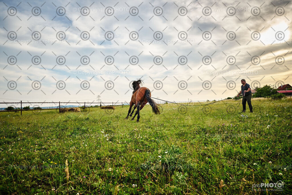 078_202406_Niki-Herodes_NZ9_9794 | proPHOTO - Realisiert mit Pictrs.com