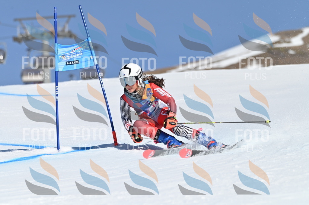 BGV_7873 | holidayphoto