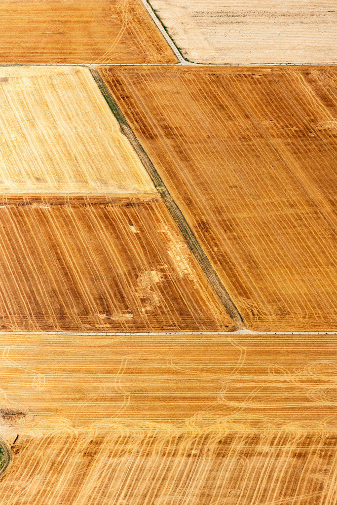 dr__0010921.jpg | BIEBESHEIM AM RHEIN 18.07.2018 Getreidefeld- Strukturen in Biebesheim am Rhein im Bundesland Hessen, Deutschland. // Field structures in Biebesheim am Rhein in the state Hesse, Germany. Foto: Daniel Reiter