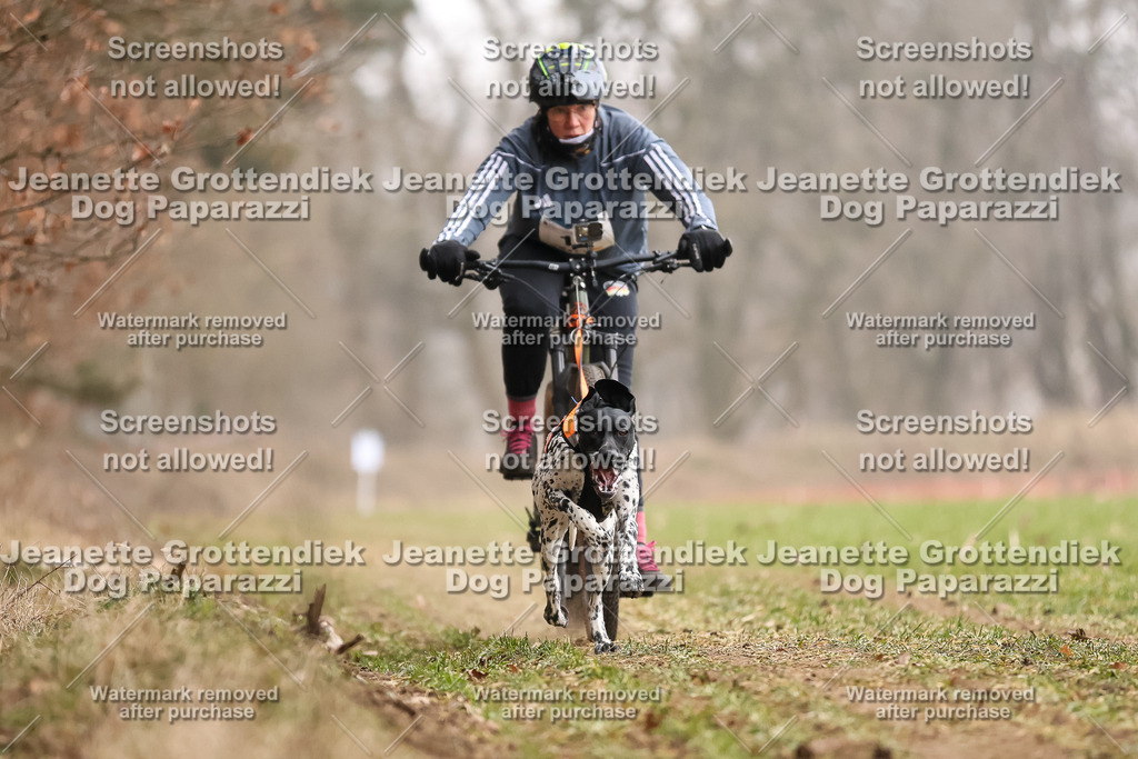 Dog Paparazzi - Plate 2026-45 | Dog Paparazzi Jeanette Grottendiek Fotografie & Videografie - Realisiert mit Pictrs.com