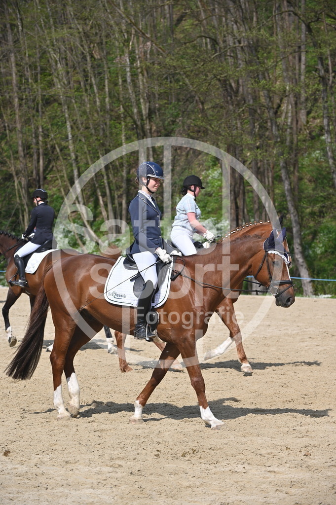 DSC_1044 | sattelsport - Realisiert mit Pictrs.com