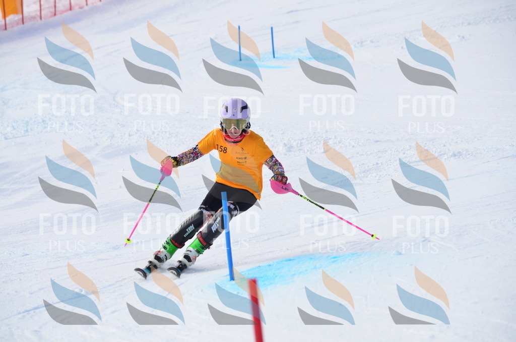 C7816 | holidayphoto