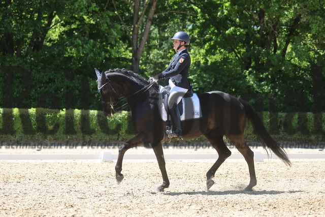Böblingen_2025_Prfg.Nr.08_Dressurprüfung_Kl.M_Nürnberger Burgpokal_Lucia Rosa Schuler_Daila 15 (9) | Alle Fotos der Reiterjournal Fotografin Doris Matthaes im Reiterjournal Online-Fotoshop. - Realisiert mit Pictrs.com