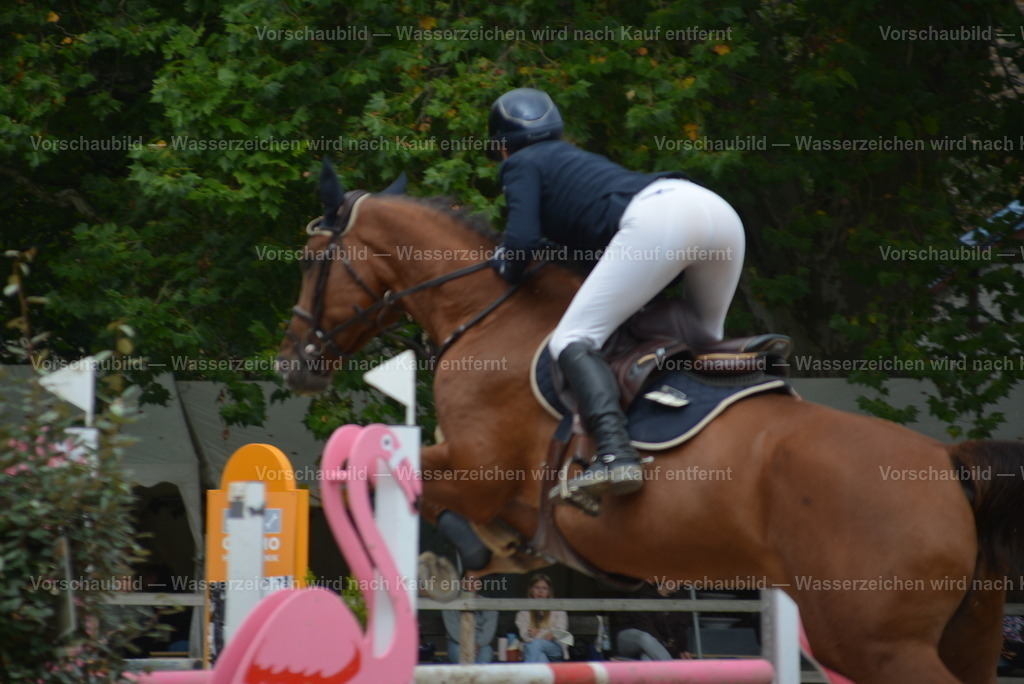 DSC_0558 - Kopie | heimberg-sportfotos - Realisiert mit Pictrs.com