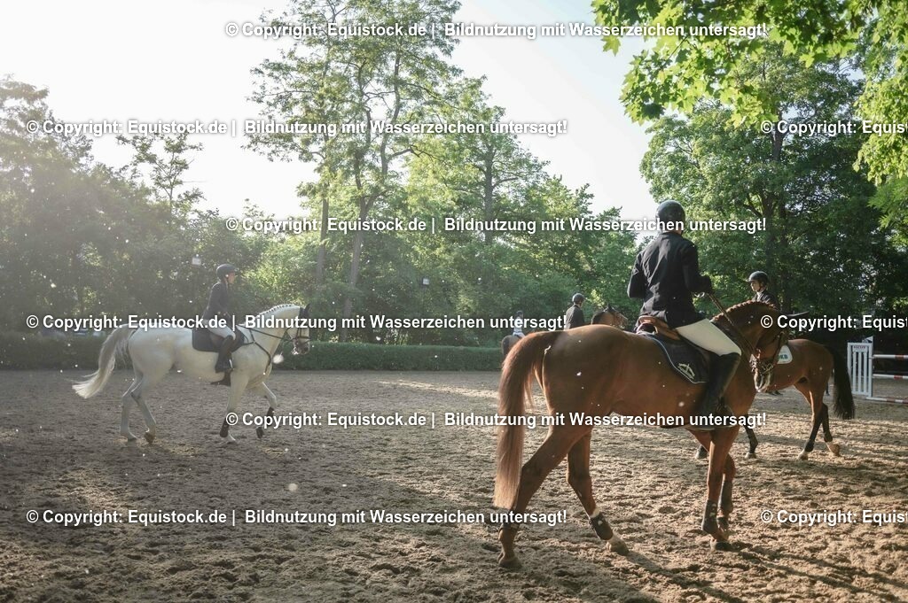 DSC_8691 | equistock