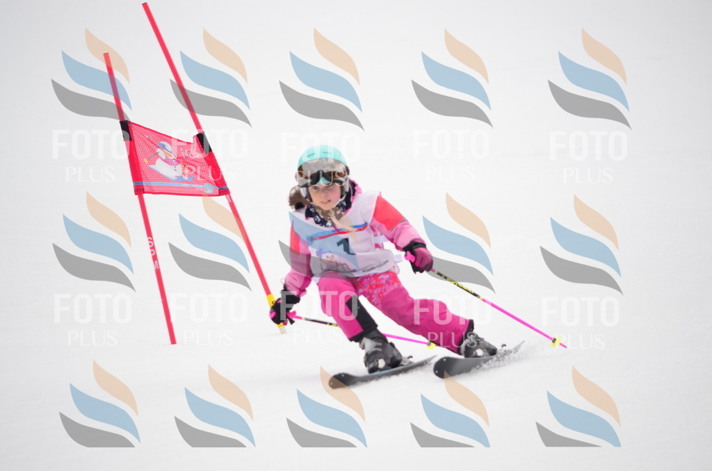 C0264 | holidayphoto