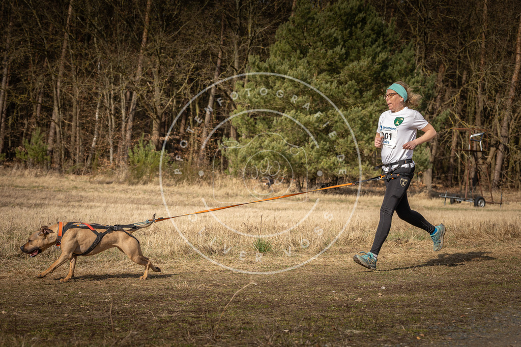 DV3A5970 | Hundefotografie, Tierfotograf, Pfotenfotografie, Fotoshooting Hund, Hunde Portrait, Hundesport, Hundeportraits, Heideshooting, Hunde, Sportfotograf, Hundefotograf, Turnierhundsport, THS,  - Realisiert mit Pictrs.com