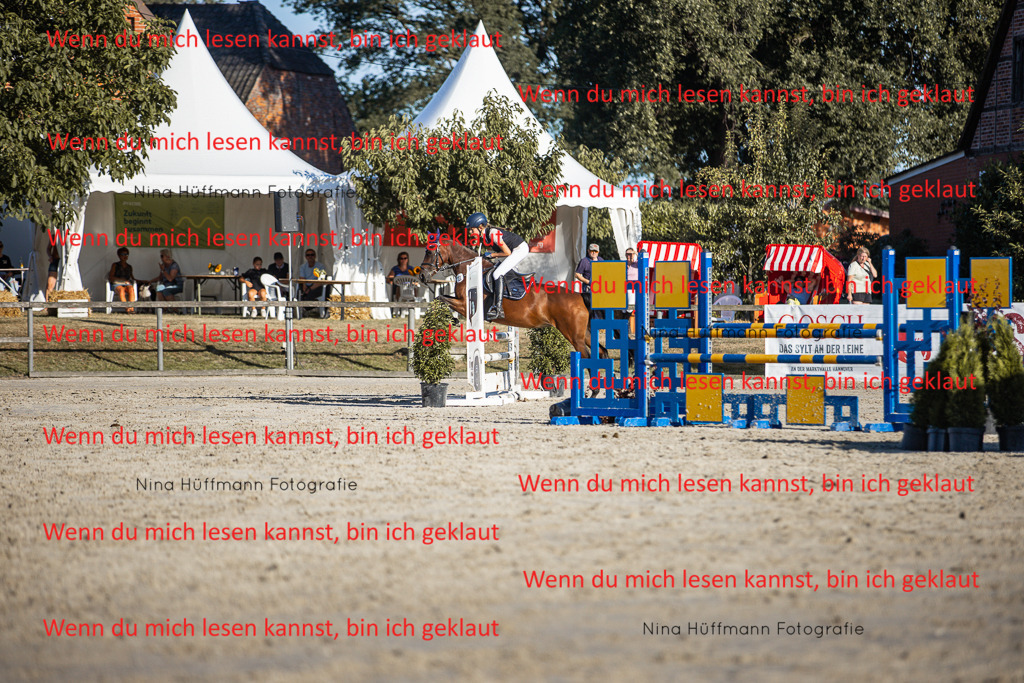 BK1A7878 | Turnierbilder Turnierfotos Nina Hüffmann Turnierfotografie Pferdefotografie Tierzeichnung Haustierzeichnung Pferdezeichnung Hundezeichnung Videograf  - Realisiert mit Pictrs.com