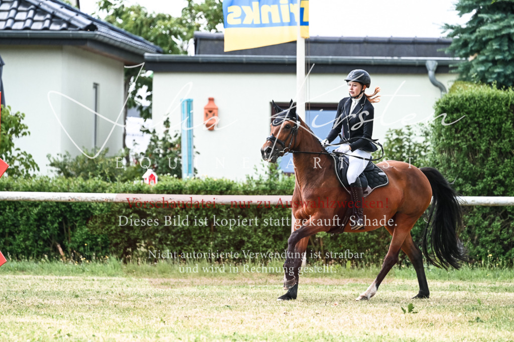 DSC_9011 | Pferde- und Turnierfotografie in Westsachsen. Pferdeportraits, Auftragszeichnungen und intuitive Kunst.